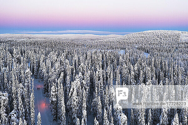 Aerial view of two hikers walking in the snowcapped forest at dawn  Iso-Syote  Lapland  Finland  Europe