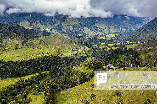 Aerial of the Cocora Valley  UNESCO World Heritage Site  Coffee Cultural Landscape  Salento  Colombia  South America