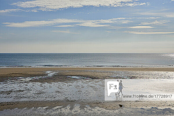 Couple walking dog on North Bay beach  Scarborough  Yorkshire  England  United Kingdom  Europe