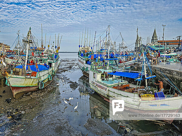 Fishing boats in the market area of Belem  Brazil  South America