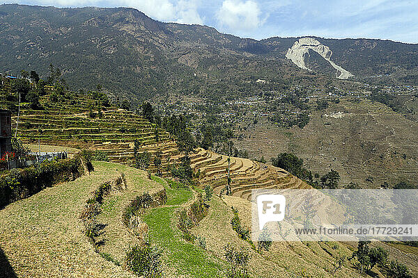 Mountainous village and traditional agriculture  Lapilang  Dolakha  Nepal  Asia