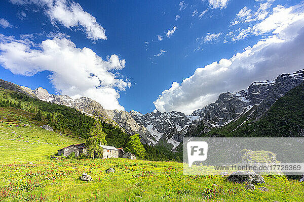 Lonely traditional group of huts in a wild alpine valley  Val d'Arigna  Orobie  Valtellina  Lombardy  Italy  Europe
