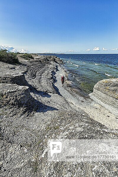 Hikers between limestone columns  Raukar on the shore of Kalmarsund  Byrum  west coast of the island of Öland  Kalmar län  Sweden  Europe