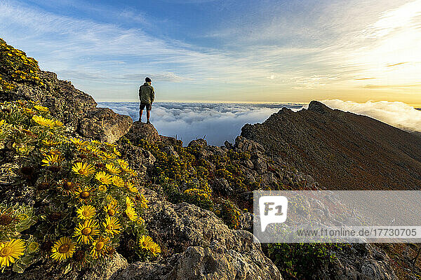 Man watching the mist at sunrise standing on rocks on Pico de la Zarza mountain peak  Fuerteventura  Canary Islands  Spain  Atlantic  Europe