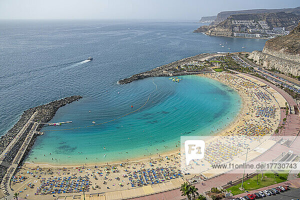View of Playa de Amadores beach from elevated position  Puerto Rico  Gran Canaria  Canary Islands  Spain  Atlantic  Europe