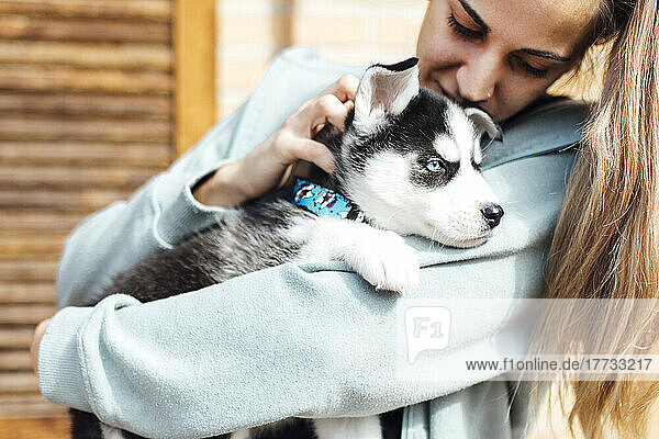 Young woman stroking husky puppy