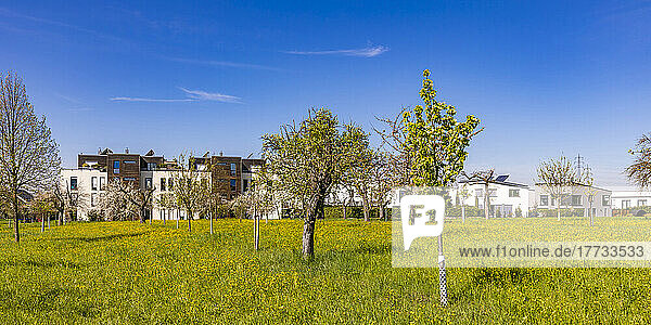 Germany  Baden-Wurttemberg  Waiblingen  Fruit trees blossoming in front of modern suburban houses