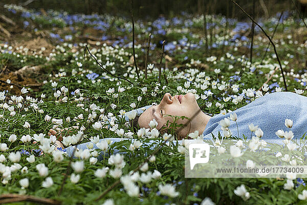 Woman lying amidst wildflowers in meadow