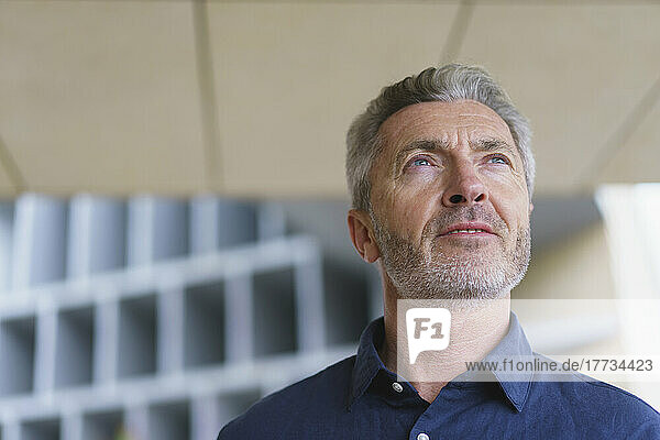 Thoughtful businessman with gray hair