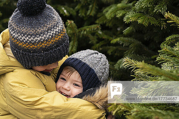 Brüder umarmen sich am Weihnachtsbaum