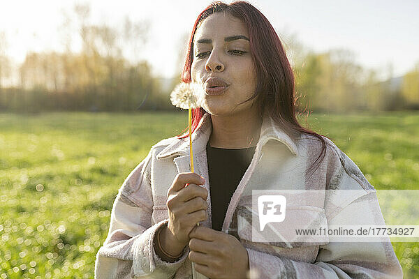 Woman blowing dandelion on sunny day