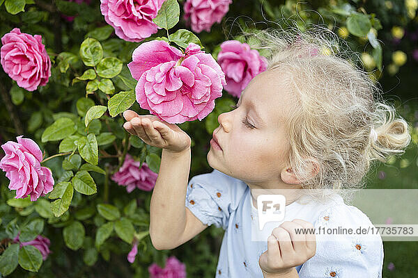 Nettes Mädchen riecht rosa Rose im Garten