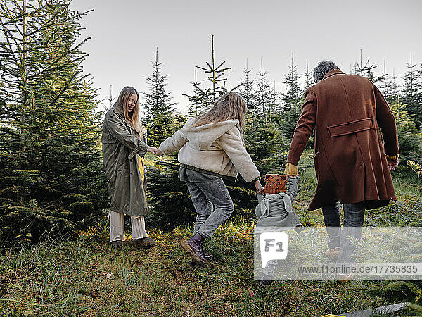 Playful family holding hands and walking in Christmas tree farm