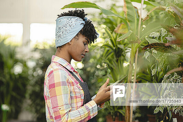 Gardener wearing bandana using tablet PC working with plants at nursery