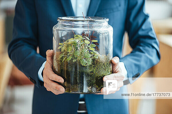 Hands of businessman holding glass container with plant