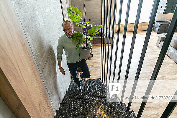 Smiling man holding potted plant moving up on staircase at home