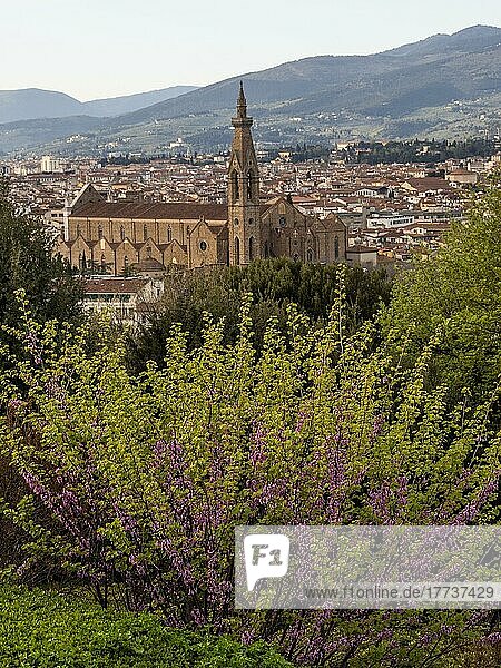 Stadtansicht mit Basilika Santa Croce in der Altstadt  Florenz  Toskana  Italien  Europa