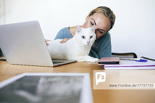 Freelancer sitting with laptop and pet cat at table