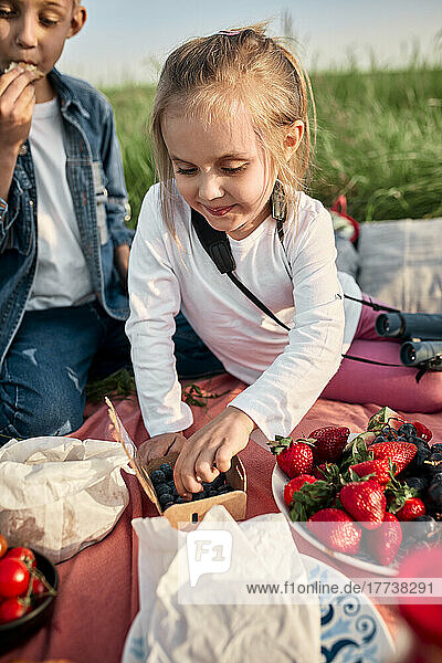 Girl having blueberries by brother in picnic on weekend