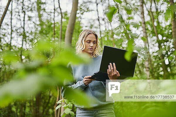 Young freelancer working on laptop in woodland