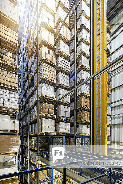 Cardboard boxes arranged on rack in distribution warehouse