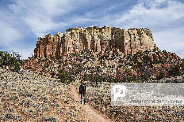 USA  New Mexico  Abiquiu  Rear view of female hiker near mesa in desert landscape