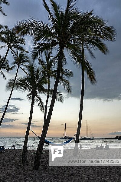 Sonnenuntergang unter Palmen an  'Anaeho'omalu Beach  Waikoloa  Big Island  Hawaii  USA  Nordamerika