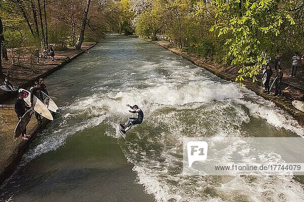 Surfers in the Eisbach  a Munich city stream fed by the Isar. The Eisbach wave is internationally known and quite dangerous. Munich  Bavaria  Germany  Europe