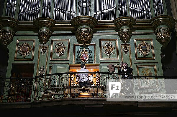 Interior photograph  main organ with organist and trumpeter  Saint-Sauveur Cathedral  Aix-en-Provence  Bouches-du-Rhône  Provence-Alpes-Côte d'Azur  France  Europe