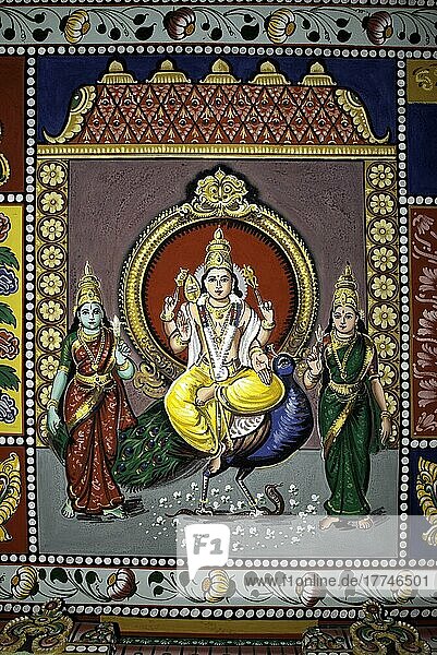 Lord Subrahmaniya with his consorts  murals on a shiva temple ceiling near Pudukkottai  Tamil Nadu  India  Asia