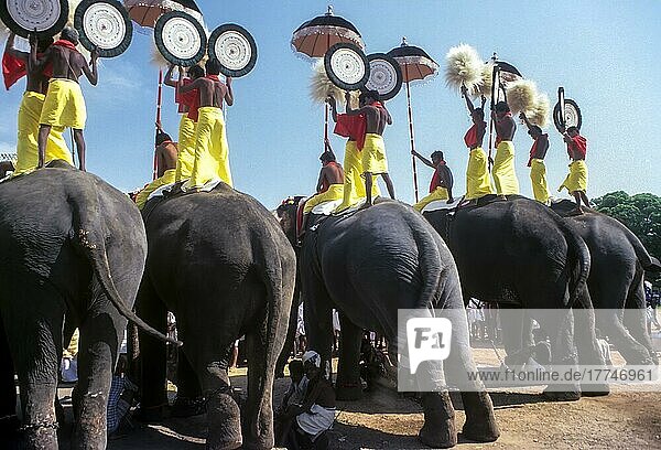 Pooram festival in Thrissur or Trichur  Kerala  India  Asia