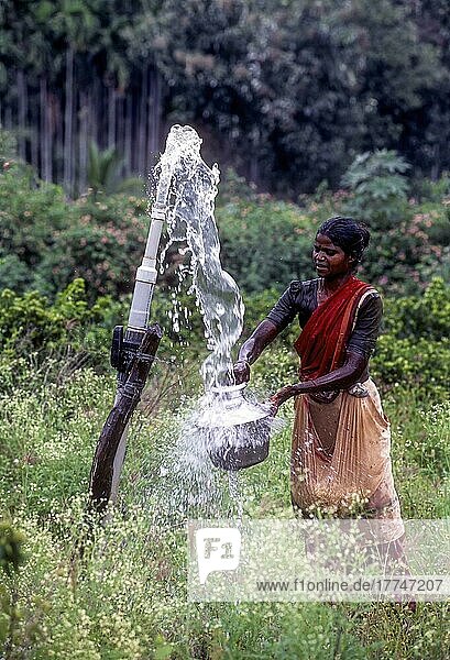Eine Frau holt Wasser direkt aus einem Bohrbrunnen in Anaikatty  Tamil Nadu  Indien  Asien
