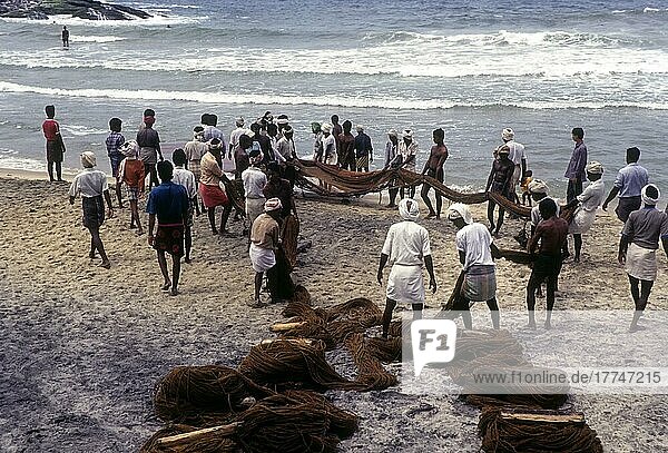 Fischer beim Einholen der Fischernetze am Strand von Kovalam in der Nähe von Thiruvananthapuram  Kerala  Indien  Asien