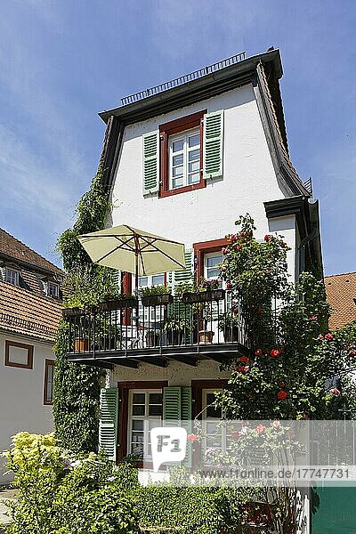 Kleines  pittoreskes Wohnhaus mit Balkon und Fensterladen  Blumenkasten  Rosen  viele  verschiedene Pflanzen  Altstadt  Heidelberg  Kurpfalz  Baden-Württemberg  Deutschland  Europa