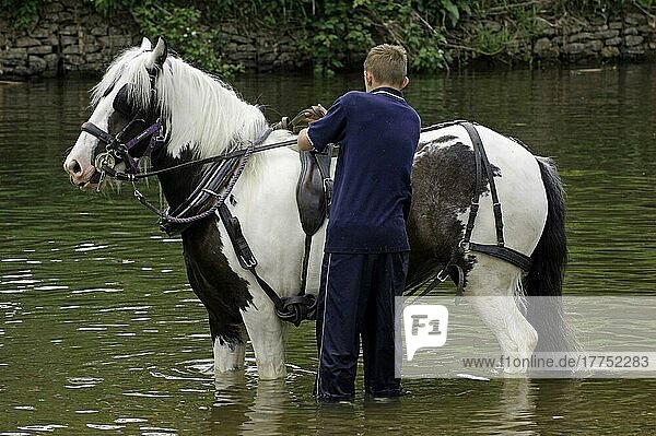 Pferde waschen im Fluss  Junge mit Pferd im Geschirr  River Eden  Appleby Horse Fair  Cumbria  England  Juni