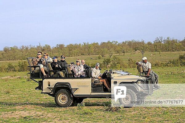 Safari-Fahrzeug  Safari  Geländewagen  Touristen  Tierbeobachtung  Pirschfahrt  Sabi Sand Game Reserve  Krüger Nationalpark  Südafrika