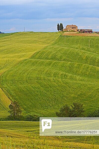 Val d'Orcia  UNESCO-Weltkulturerbe  Felder und Bauernhäuser  Landschaft der Toskana  Pienza  Provinz Siena  Toskana  Italien  Europa