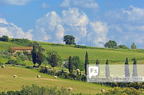 Montichiello  Pienza  Toskana-Landschaft  Val d'Orcia  Orcia-Tal  UNESCO-Weltkulturerbe  Provinz Siena  Toskana  Italien  Europa