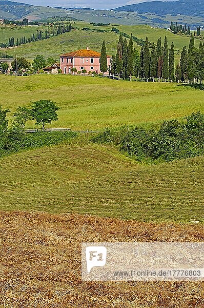 Val d'Orcia  Orcia-Tal  Bauernhof mit Zypressen  Felder und Bauernhäuser  Toskana-Landschaft  UNESCO-Weltkulturerbe  Pienza  Provinz Siena  Toskana  Italien  Europa