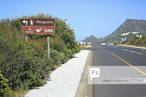 Straßenschild  Verkehrsschild  Hinweisschild  Wegweiser zu Pinguinen  Wegweiser zu Walbeobachtung  Betty's Bay  Westkap  Südafrika