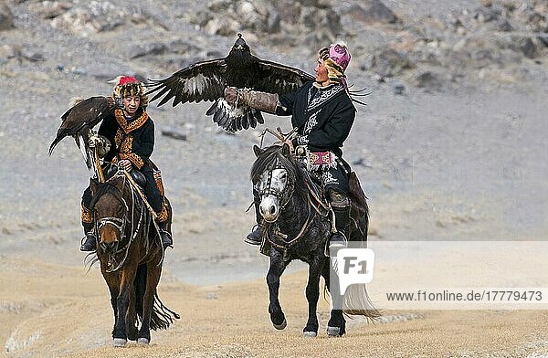 Kasachische Jäger zu Pferd  mit vermummten Steinadlern (Aquila chrysaetos)  auf dem Weg zum Adlerjäger-Festival  Bajan-Ulgii  Westmongolei  Oktober