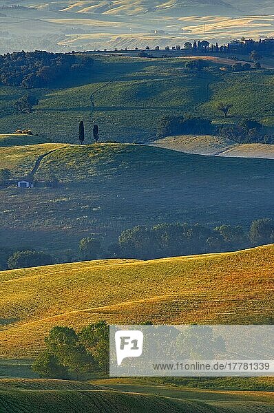 Val d'Orcia  Orcia-Tal in der Morgendämmerung  Morgennebel  UNESCO-Weltkulturerbe  San Quirico d'Orcia  Provinz Siena  Toskana  Landschaft der Toskana  Italien  Europa