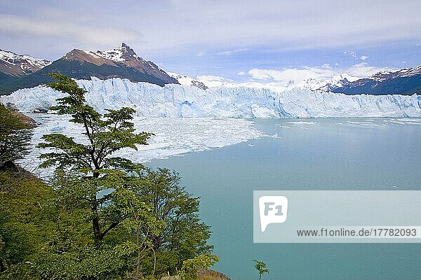 Perito Moreno Gletscher  Argentinien  Südamerika