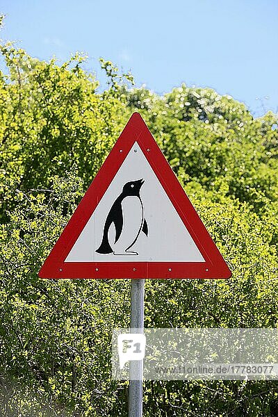 Straßenschild Vorsicht  Pinguine  Simons Town  Boulder  Südafrika