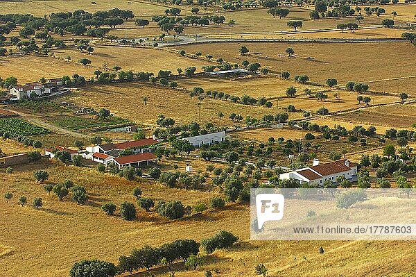 Landschaft  Blick von Monsaraz  Bezirk Evora  Alentejo  Portugal  Europa