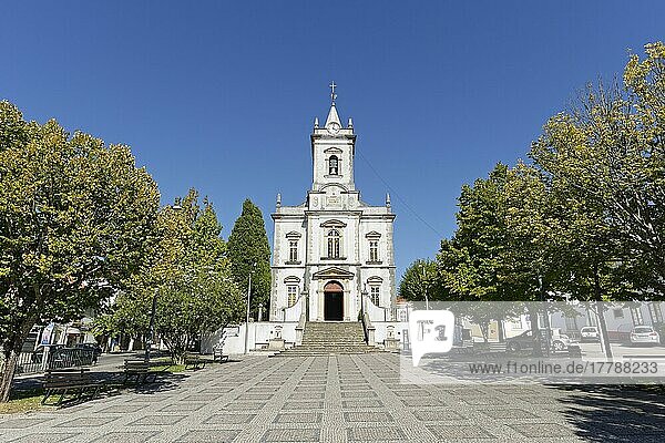 Lousa Parish Church  Lousa  Coimbra District  Regiao do Centro  Portugal  Europe