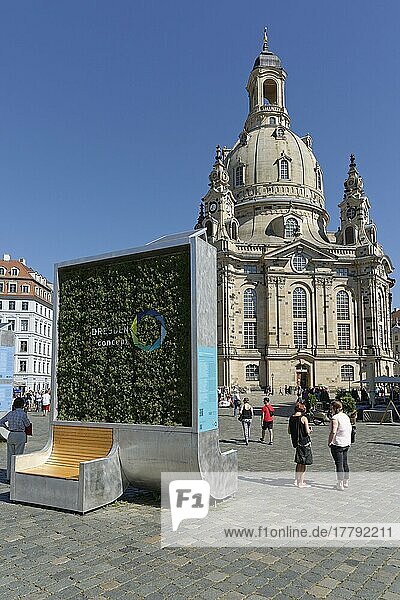 Begrünte Tafel der Hochschule für Technik und Wirtschaft Dresden  vor Frauenkirche  Dresden  Sachsen  Deutschland  Europa