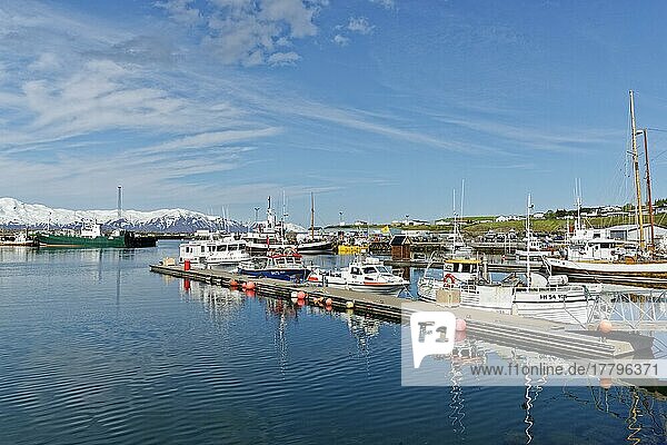 Fischerboote im Hafen von Husavik  Husavik  Nordisland  Island  Europa