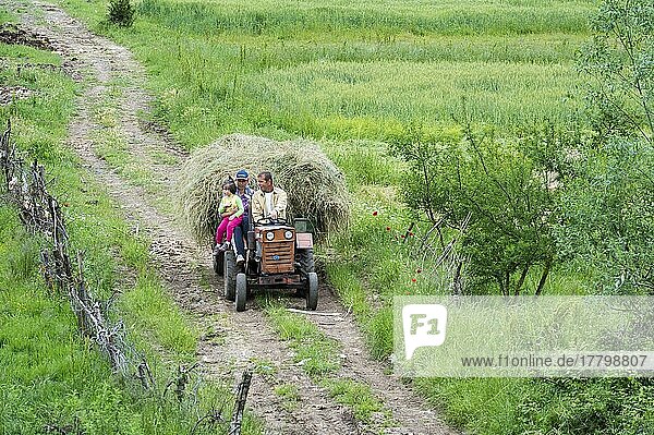 Ländliche Szene  Landwirt führt Traktoranhänger mit Heu beladen  Prrenjas  Albanien  Europa