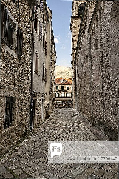Gasse  Altstadt  Unesco-Weltkulturerbe  Kotor  Montenegro  Europa